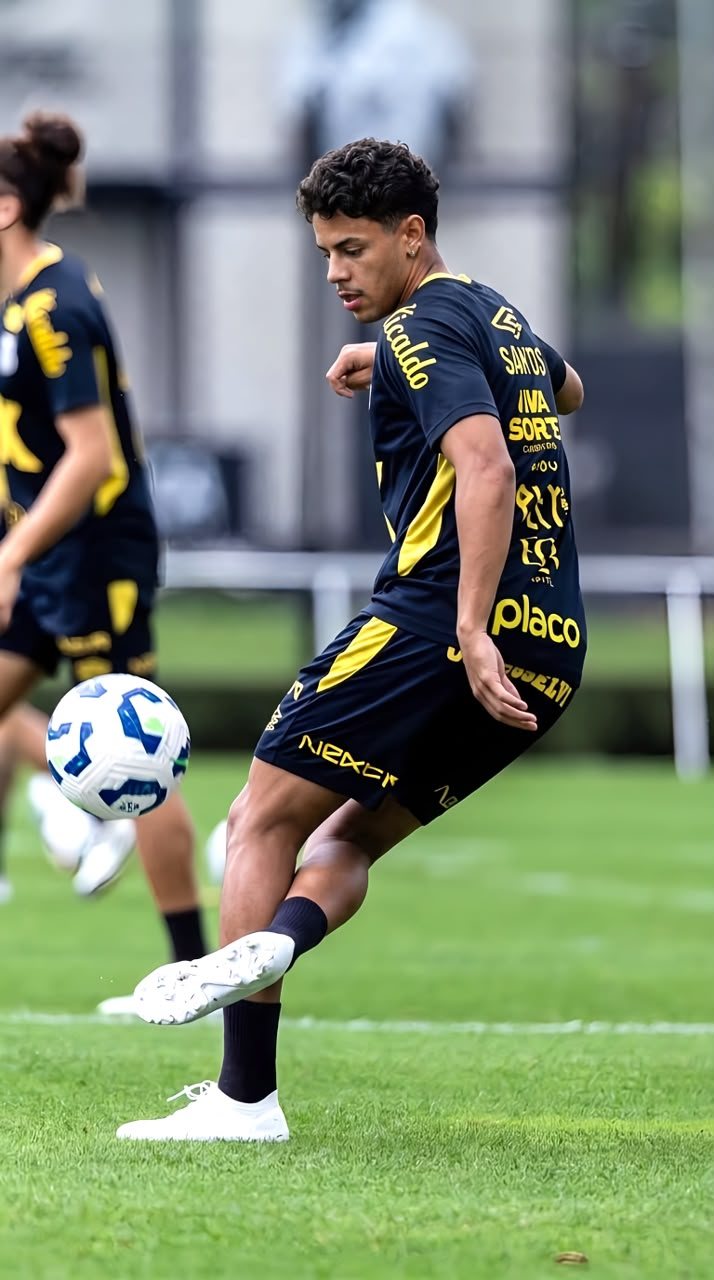 Treino